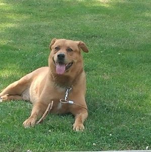 Meet your Posher, Peggy